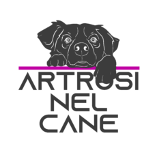 Artrosi nel Cane